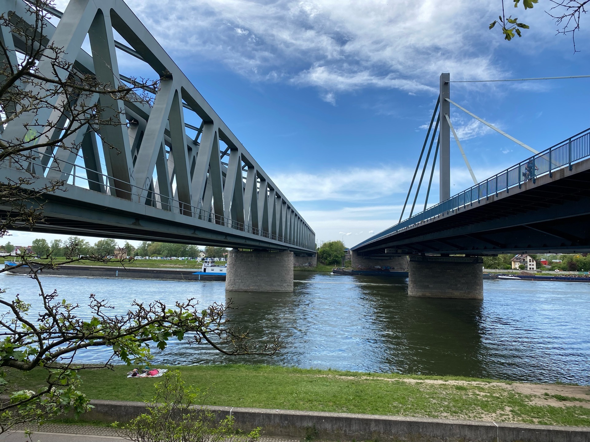 Blick auf den Rhein zwischen Rheinbrücke und Eisenbahnbrücke